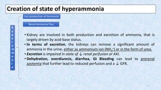 Creation of state of hyperammonia
Renal Ammonia Flux
• Kidney are involved in both production and excretion of ammonia, that is
largely driven by acid-base status.
• In terms of excretion, the kidneys can remove a significant amount of
ammonia in the urine, either as ammonium ion (NH4
+) or in the form of urea.
• Excretion is impaired in state of ↓ renal perfusion or AKI.
• Dehydration, overdiuresis, diarrhea, GI Bleeding can lead to prerenal
azotemia that further lead to reduced perfusion and a ↓ GFR.
Gut production of Ammonia
h
y
p
e
r
a
m
m
o
n
i
a
9
 