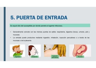 5. PUERTA DE ENTRADA
Es aquel sitio del susceptible por donde penetra el agente infeccioso.
• Generalmente coincide con las mismas puertas de salida: respiratoria, digestiva (boca), urinaria, piel y
mucosas.
• La entrada puede producirse mediante ingestión, inhalación, inyección percutánea o a través de las
mucosas o de la placenta.
Ingestión Inhalación
Inyección
percutánea
Placenta
 