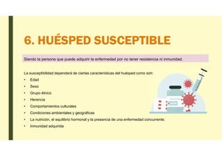 6. HUÉSPED SUSCEPTIBLE
Siendo la persona que puede adquirir la enfermedad por no tener resistencia ni inmunidad.
La susceptibilidad dependerá de ciertas características del huésped como son:
• Edad
• Sexo
• Grupo étnico
• Herencia
• Comportamientos culturales
• Condiciones ambientales y geográficas
• La nutrición, el equilibrio hormonal y la presencia de una enfermedad concurrente.
• Inmunidad adquirida
 