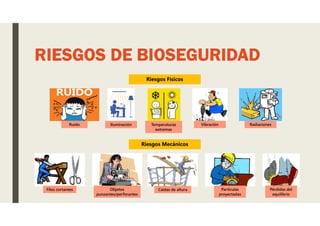 RIESGOS DE BIOSEGURIDAD
Iluminación Temperaturas
extremas
Vibración Radiaciones
Riesgos Físicos
Ruido
Caídas de altura
Riesgos Mecánicos
Filos cortantes Objetos
punzantes/perforantes
Partículas
proyectadas
Pérdidas del
equilibrio
 