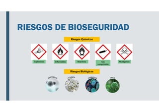 RIESGOS DE BIOSEGURIDAD
Riesgos Químicos
Explosivos
Riesgos Biológicos
Inflamables Reactivos Gas
comprimido
Mutágenos
 