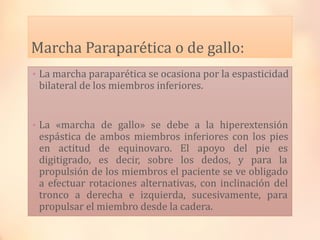 Marcha Paraparética o de gallo:
• La marcha paraparética se ocasiona por la espasticidad
bilateral de los miembros inferio...