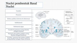 Nuclei pembentuk Basal
Nuclei
Caudate
Putamen
Globus palidus (internus & eksternus)
Subthalamic
Substansia nigra
Caudate & putamen sering disebut
sebagai striatum
Putamen dan globus palidus sering
disebut sebagai lentiform
Caudate, putamen dan globus palidus
sering disebut sebagai corpus striatum
 