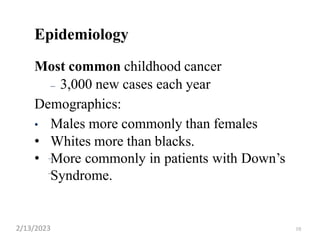 10
Epidemiology
–
–
Most common childhood cancer
– 3,000 new cases each year
Demographics:
• Males more commonly than females
• Whites more than blacks.
• More commonly in patients with Down’s
Syndrome.
2/13/2023
 