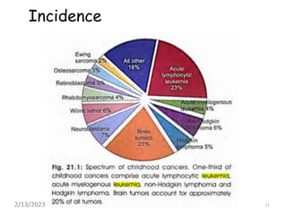 Incidence
2/13/2023 11
 