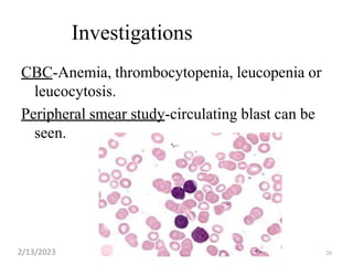 Investigations
CBC-Anemia, thrombocytopenia, leucopenia or
leucocytosis.
Peripheral smear study-circulating blast can be
seen.
26
2/13/2023
 