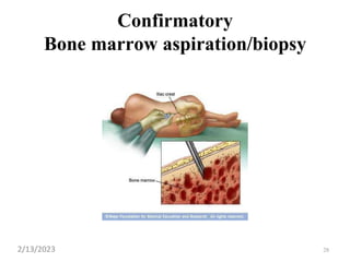 Confirmatory
Bone marrow aspiration/biopsy
28
2/13/2023
 