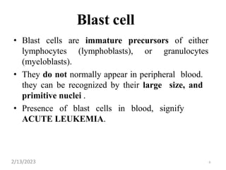 6
Blast cell
• Blast cells are immature precursors of either
lymphocytes (lymphoblasts), or granulocytes
(myeloblasts).
• They do not normally appear in peripheral blood.
they can be recognized by their large size, and
primitive nuclei .
• Presence of blast cells in blood, signify
ACUTE LEUKEMIA.
2/13/2023
 