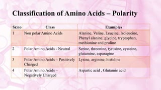 Classification of Amino Acids – Polarity
Sr.no Class Examples
1 Non polar Amino Acids Alanine, Valine, Leucine, Isoleucine,
Phenyl alanine, glycine, tryptophan,
methionine and proline
2 Polar Amino Acids - Neutral Serine, threonine, tyrosine, cysteine,
glutamine, asparagine
3 Polar Amino Acids – Positively
Charged
Lysine, arginine, histidine
4 Polar Amino Acids –
Negatively Charged
Aspartic acid , Glutamic acid
 
