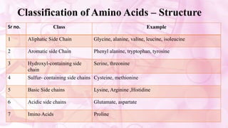 Classification of Amino Acids – Structure
Sr no. Class Example
1 Aliphatic Side Chain Glycine, alanine, valine, leucine, isoleucine
2 Aromatic side Chain Phenyl alanine, tryptophan, tyrosine
3 Hydroxyl-containing side
chain
Serine, threonine
4 Sulfur- containing side chains Cysteine, methionine
5 Basic Side chains Lysine, Arginine ,Histidine
6 Acidic side chains Glutamate, aspartate
7 Imino Acids Proline
 
