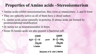 Properties of Amino acids –Stereoisomerism
• Amino acids exhibit stereoisomerism, they exist as enantiomers , L and D form
• They are optically active as all of them have a chiral carbon
• L- amino acids occur naturally in proteins, D amino acids are formed by
posttranslational modification
• D- serine act as neurotransmitter in brain
• Some D-Amino acids are also present is bacterial cell.
 