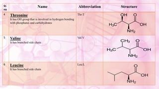 Sr.
no
Name Abbreviation Structure
4 Threonine
It has OH group that is involved in hydrogen bonding
with phosphates and carbohydrates
Thr:T
5 Valine
It has branched side chain
Val:V
6 Leucine
It has branched side chain
Leu:L
 