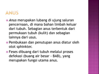  Anus merupakan lubang di ujung saluran
pencernaan, di mana bahan limbah keluar
dari tubuh. Sebagian anus terbentuk dari
permukaan tubuh (kulit) dan sebagian
lainnya dari usus.
 Pembukaan dan penutupan anus diatur oleh
otot sphinkter.
 Feses dibuang dari tubuh melalui proses
defekasi (buang air besar - BAB), yang
merupakan fungsi utama anus.
 