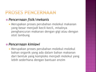  Pencernaan fisik/mekanis
 Merupakan proses perubahan molekul makanan
yang besar menjadi kecil-kecil, misalnya
penghancuran makanan dengan gigi atau dengan
otot lambung
 Pencernaan kimiawi
 Merupakan proses perubahan molekul-molekul
bahan organik yang ada dalam bahan makanan
dari bentuk yang kompleks menjadi molekul yang
lebih sederhana dengan bantuan enzim
 