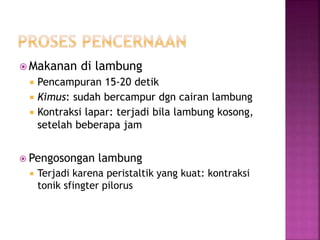  Makanan di lambung
 Pencampuran 15-20 detik
 Kimus: sudah bercampur dgn cairan lambung
 Kontraksi lapar: terjadi bila lambung kosong,
setelah beberapa jam
 Pengosongan lambung
 Terjadi karena peristaltik yang kuat: kontraksi
tonik sfingter pilorus
 