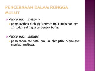  Pencernaan mekanik:
 pengunyahan oleh gigi (mencampur makanan dgn
air ludah sehingga terbentuk bolus.
 Pencernaan kimiawi:
 pemecahan zat pati/ amilum oleh ptialin/amilase
menjadi maltosa.
 