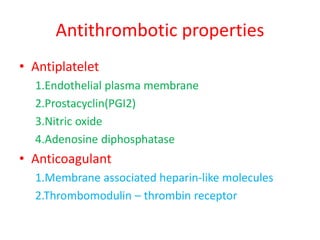 Antithrombotic properties
• Antiplatelet
1.Endothelial plasma membrane
2.Prostacyclin(PGI2)
3.Nitric oxide
4.Adenosine diphosphatase
• Anticoagulant
1.Membrane associated heparin-like molecules
2.Thrombomodulin – thrombin receptor
 