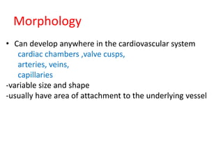 Morphology
• Can develop anywhere in the cardiovascular system
cardiac chambers ,valve cusps,
arteries, veins,
capillaries
-variable size and shape
-usually have area of attachment to the underlying vessel
 
