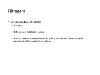 Filtragem
• Purificação do ar inspirado
• Vibrissas
• Reflexo esternutatório (espirro)
• Adesão ao muco nasal e remoção pela atividade mucociliar (epitélio
pseudoestratificado cilíndrico ciliado)
 