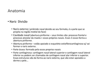 Anatomia
• Nariz Divisão
• Nariz externo ( pirâmide nasal devido ao seu formato, é a parte que se
projeta na região medial da face)
• Cavidade nasal (abertura piriforme – seus limites são: processo frontal e
processo alveolar da maxila + ossos próprios nasais. Esses 3 ossos forma a
abertura piriforme.
• Abertura piriforme – estão apoiado o esqueleto ostiofibrocartilaginoso q/ vai
formar o nariz externo.
• Parte óssea: formada pela ossos proprios nasais
• Parte cartilaginosa: cartilagem nasal lateral superior e cartilagem nasal lateral
inferior ou podem ser chamadas de cartilagem nasal alar inferior e superior.
Essas estruturas vão da forma ao nariz externo, que vão estar apoiados a
derme a pele...
 