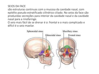 SEIOS DA FACE
são estruturas continuas com a mucosa da cavidade nasal, com
epitélio pseudo estratificado cilíndrico ciliado. No seios da face são
produzidas secreções para interior da cavidade nasal e da cavidade
nasal para a rinofaringe.
O seio mais fácil de se drenar é o: frontal e o mais complicado e
difícil é o seio maxilar.
 