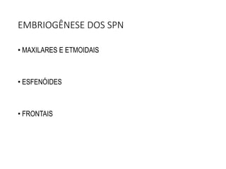 EMBRIOGÊNESE DOS SPN
• MAXILARES E ETMOIDAIS
• ESFENÓIDES
• FRONTAIS
 
