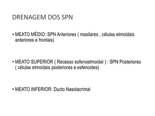 DRENAGEM DOS SPN
• MEATO MÉDIO: SPN Anteriores ( maxilares , células etmoidais
anteriores e frontais)
• MEATO SUPERIOR ( Recesso esfenoetmoidal ) : SPN Posteriores
( células etmoidais posteriores e esfenoides)
• MEATO INFERIOR: Ducto Nasolacrimal
 