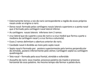 • Externamente temos a raiz do nariz correspondente a região do ossos próprios
nasais onde se origina o nariz.
• Dorso nasal: formada pelas cartilagens nasais laterais superiores e a ponta nasal
que é formado pela cartilagem nasal lateral inferior.
• As cartilagens nasais laterais inferiores tem 2 ramos:
• cruz lateral que da suporte a assa do nariz e a cruz medial que forma a parte a
mediana da cartilagem nasal ( a cruz forma a columela).
• Esses 2 ramos delimitam a abertura anterior do nariz.
• Cavidade nasal é dividida ao meio pelo septo nasal.
• Septo nasal é formado por: postero superiormente pela lamina perpendicular
do etmóide, postero inferiormente pelo vômer, Cartilagem septal ou cartilagem
quadrangular.
• Teto nasal – formado pelo osso frontal, etmóide e esfenóide
• Assoalho do nariz: osso maxilar, processo palatino da maxila e processo
horizontal do osso palatino. Ao mesmo tempo vão formar o palato duro.
 