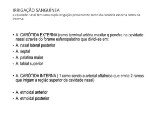 IRRIGAÇÃO SANGUÍNEA
a cavidade nasal tem uma dupla irrigação proveniente tanto da carotida externa como da
interna:
• A. CARÓTIDA EXTERNA (ramo terminal artéria maxilar q penetra na cavidade
nasal através do forame esfenopalatino que dividi-se em:
- A. nasal lateral posterior
- A. septal
- A. palatina maior
- A. labial superior
• A. CARÓTIDA INTERNA ( 1 ramo sendo a arterial oftálmica que emite 2 ramos
que irrigam a região superior da cavidade nasal)
- A. etmoidal anterior
- A. etmoidal posterior
 