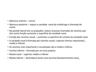 • Abertura anterior – narina
• Abertura posterior – separa a cavidade nasal da rinofaringe é chamada de
coana.
• Na parede lateral tem as projeções: osteos mucosas chamadas de conchas que
tem como função aumentar a superfície da cavidade nasal.
• Função das conchas nasais – aumentar a superfície de contato da cavidade nasal
• A cavidade nasal é formada por conchas nasais: superior (menos importante) ,
media e inferior.
• As conchas mais importante e visualizadas são a media e inferior.
• Concha inferior – formada por um osso próprio.
• Meato nasal – superior, médio e inferior
• Meato inferior – desemboca ducto naso lacrimal (tamponamento nasal_
 
