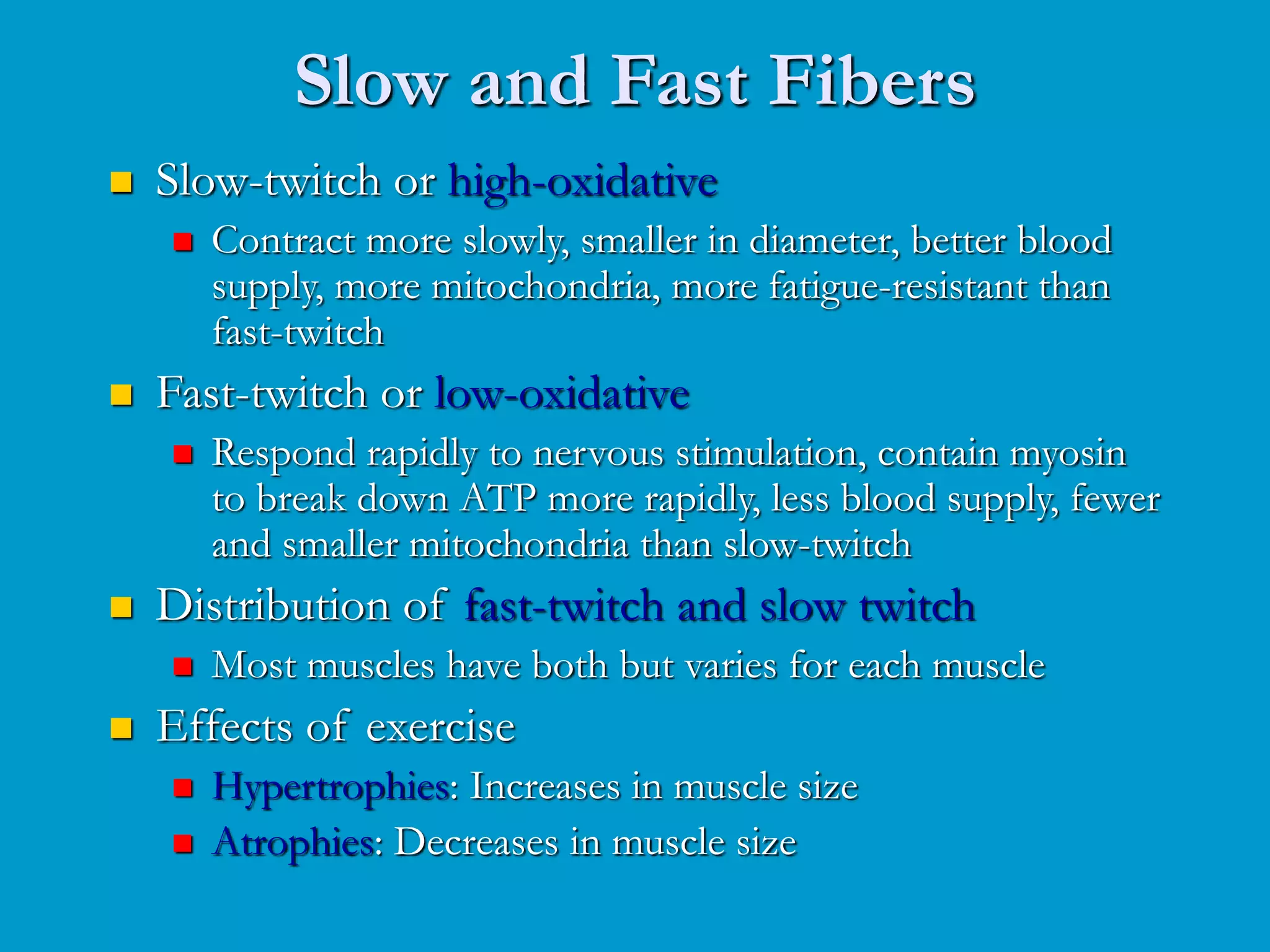 Slow and Fast Fibers
 Slow-twitch or high-oxidative
 Contract more slowly, smaller in diameter, better blood
supply, more mitochondria, more fatigue-resistant than
fast-twitch
 Fast-twitch or low-oxidative
 Respond rapidly to nervous stimulation, contain myosin
to break down ATP more rapidly, less blood supply, fewer
and smaller mitochondria than slow-twitch
 Distribution of fast-twitch and slow twitch
 Most muscles have both but varies for each muscle
 Effects of exercise
 Hypertrophies: Increases in muscle size
 Atrophies: Decreases in muscle size
 