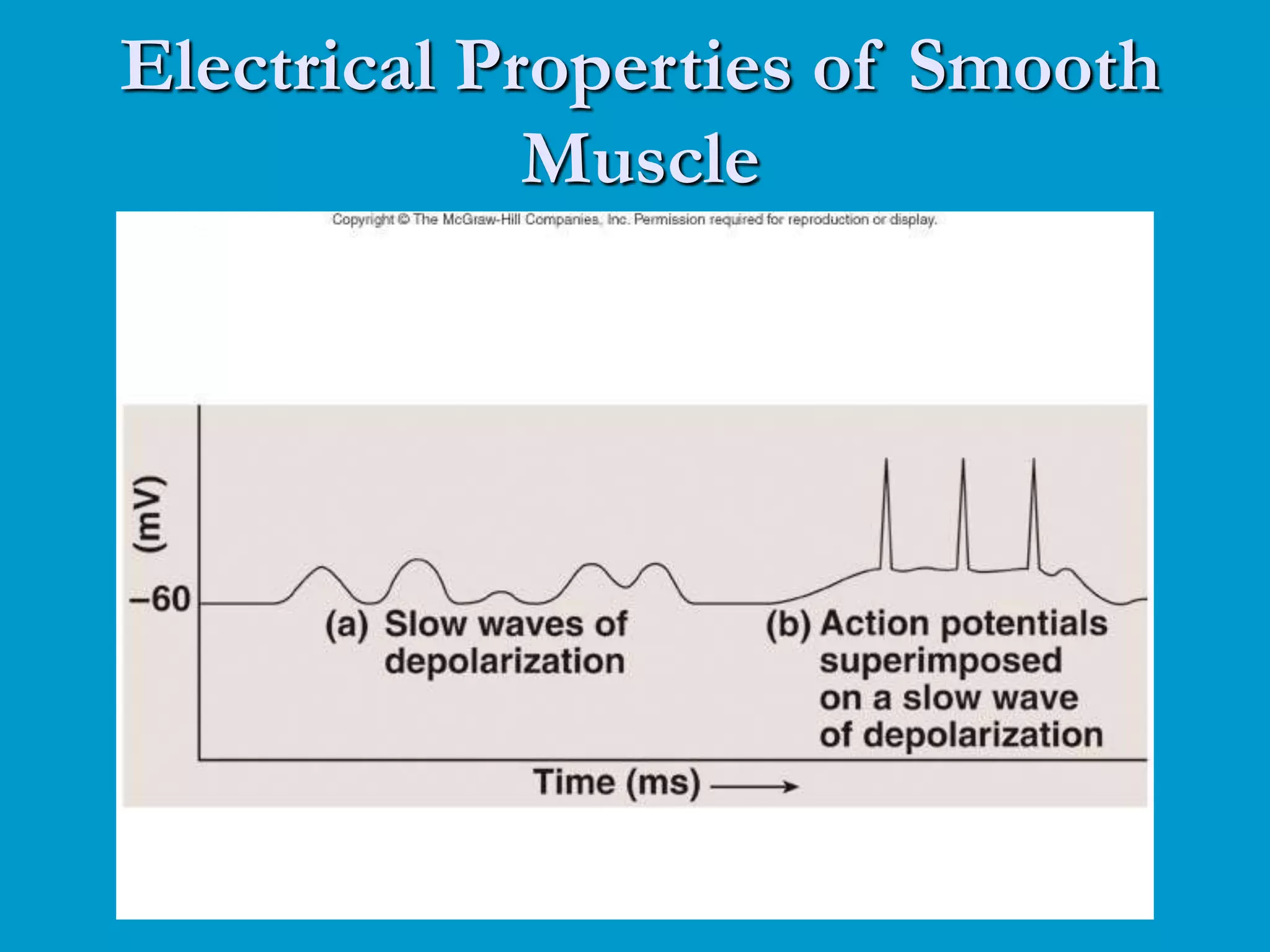 Electrical Properties of Smooth
Muscle
 