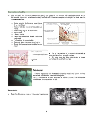 8
Información radiográfica
• Este esquema nos señala TODO en lo que hay que fijarse en una imagen pre-extracción dental de un
tercer molar impactado, este diente no se puede sacar a través de una extracción simple: Se debe realizar
una osteosección
® Borde anterior de la rama ascendente
de la mandíbula
® Reabsorción del hueso (en caso de que
haya)
® Dirección y ángulo de inclinación
® Impactación
® Cámara pulpar
® Longitud y número de raíces: Estado de
los ápices
® Profundidad de impactación
® Distancia al conducto dentario inferior
® Cresta del hueso alveolar distal al tercer
molar
• Se ve como el tercer molar está impactado y
además las raíces no están rectas.
• En este caso se debe segmentar la pieza
dental donde está la línea roja
Retoalveolar
® Diente impactado que destrozó el segundo molar, una opción posible
es dejar el tercer molar y extraer el segundo
® Es considerable el daño realizado al segundo molar, casi imposible
rehabilitarlo (imposible dice el Dr)
Panorámica
• Están los 4 terceros molares incluidos e impactados
 