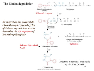6. aa sequencing site directed application of biotechnology.ppt