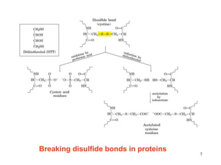Disulfide Bond Example 6. aa sequencing site directed application of biotechnology.ppt
