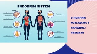 О ПОЛНИМ
ЖЛЕЗДАМА У
НАРЕДНОЈ
ЛЕКЦИЈИ
 
