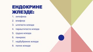 EНДОКРИНЕ
ЖЛЕЗДЕ:
1. хипофиза
2. епифиза
3. штитаста жлезда
4. параштитаста жлезда
5. грудна жлезда
6. панкреас
7. надбубрежне жлезде
8. полне жлезде
 