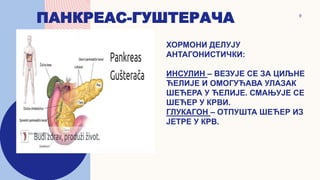 ПАНКРЕАС-ГУШТЕРАЧА 9
ХОРМОНИ ДЕЛУЈУ
АНТАГОНИСТИЧКИ:
ИНСУЛИН – ВЕЗУЈЕ СЕ ЗА ЦИЉНЕ
ЋЕЛИЈЕ И ОМОГУЋАВА УЛАЗАК
ШЕЋЕРА У ЋЕЛИЈЕ. СМАЊУЈЕ СЕ
ШЕЋЕР У КРВИ.
ГЛУКАГОН – ОТПУШТА ШЕЋЕР ИЗ
ЈЕТРЕ У КРВ.
 