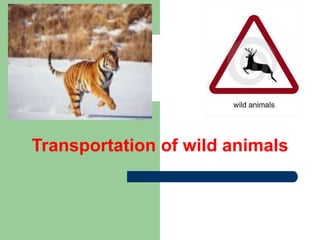 Transportation of wild animals
 