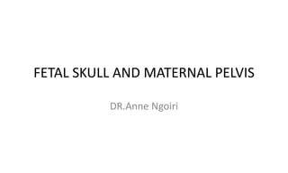 FETAL SKULL AND MATERNAL PELVIS
DR.Anne Ngoiri
 