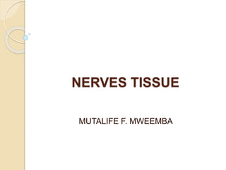 NERVES TISSUE
MUTALIFE F. MWEEMBA
 