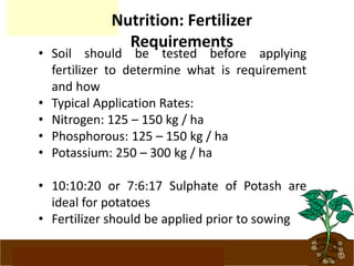 www.potatoesforschools.org.uk
Nutrition: Fertilizer
Requirements
• Soil should be tested before applying
fertilizer to determine what is requirement
and how
• Typical Application Rates:
• Nitrogen: 125 – 150 kg / ha
• Phosphorous: 125 – 150 kg / ha
• Potassium: 250 – 300 kg / ha
• 10:10:20 or 7:6:17 Sulphate of Potash are
ideal for potatoes
• Fertilizer should be applied prior to sowing
 