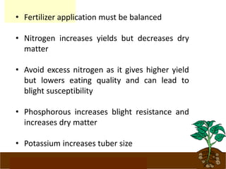 www.potatoesforschools.org.uk
• Fertilizer application must be balanced
• Nitrogen increases yields but decreases dry
matter
• Avoid excess nitrogen as it gives higher yield
but lowers eating quality and can lead to
blight susceptibility
• Phosphorous increases blight resistance and
increases dry matter
• Potassium increases tuber size
 