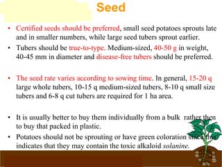 www.potatoesforschools.org.uk
Seed
• Certified seeds should be preferred, small seed potatoes sprouts late
and in smaller numbers, while large seed tubers sprout earlier.
• Tubers should be true-to-type. Medium-sized, 40-50 g in weight,
40-45 mm in diameter and disease-free tubers should be preferred.
• The seed rate varies according to sowing time. In general, 15-20 q
large whole tubers, 10-15 q medium-sized tubers, 8-10 q small size
tubers and 6-8 q cut tubers are required for 1 ha area.
• It is usually better to buy them individually from a bulk rather then
to buy that packed in plastic.
• Potatoes should not be sprouting or have green coloration since this
indicates that they may contain the toxic alkaloid solanine.
 