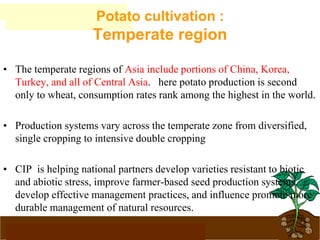 www.potatoesforschools.org.uk
• The temperate regions of Asia include portions of China, Korea,
Turkey, and all of Central Asia. here potato production is second
only to wheat, consumption rates rank among the highest in the world.
• Production systems vary across the temperate zone from diversified,
single cropping to intensive double cropping
• CIP is helping national partners develop varieties resistant to biotic
and abiotic stress, improve farmer-based seed production systems,
develop effective management practices, and influence promote more
durable management of natural resources.
Potato cultivation :
Temperate region
 