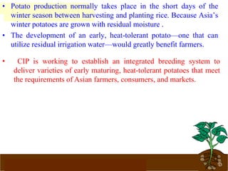 www.potatoesforschools.org.uk
• CIP is working to establish an integrated breeding system to
deliver varieties of early maturing, heat-tolerant potatoes that meet
the requirements of Asian farmers, consumers, and markets.
• Potato production normally takes place in the short days of the
winter season between harvesting and planting rice. Because Asia’s
winter potatoes are grown with residual moisture .
• The development of an early, heat-tolerant potato—one that can
utilize residual irrigation water—would greatly benefit farmers.
 