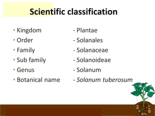 www.potatoesforschools.org.uk
Scientific classification
 