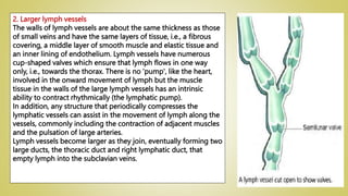 Lymph system.ppsx