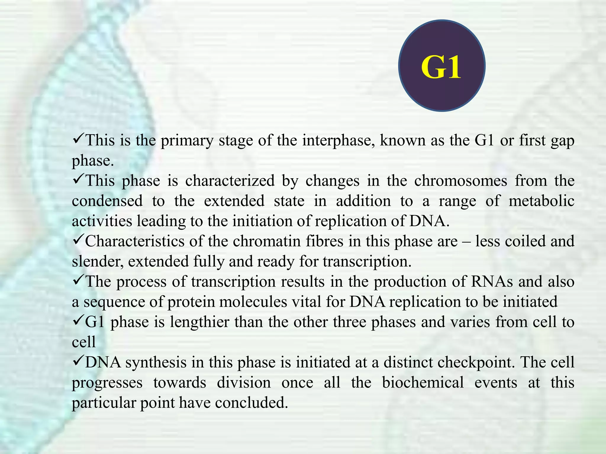 Cell cycle | PDF