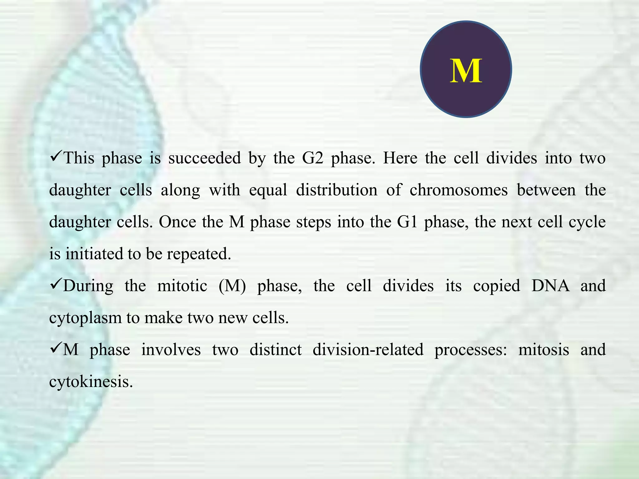 The Distribution Of Cytoplasm To Daughter Cells Is Accomplished During
